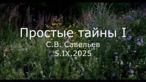 С.В. Савельев - Простые тайны I