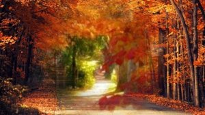 Здравствуй 🍂 осень 🍂