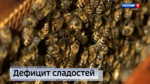 В этом сезоне пчеловоды Республики собрали мёда вполовину меньше, чем в прошлом году
