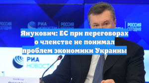 Янукович: ЕС при переговорах о членстве не понимал проблем экономики Украины