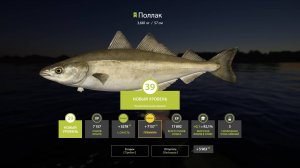 Русская рыбалка 4 - Вечерний стрим. РР4. Прокачка до топ МЛО ч.1