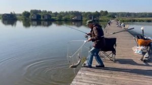 поимка 2025-09-01 в 09.14.08_e9e93f3d