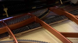 Новые музыкальные инструменты для новых творческих побед