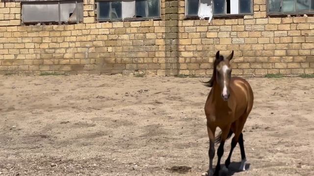 Когда не хватает слов,  чтобы описать эмоции!