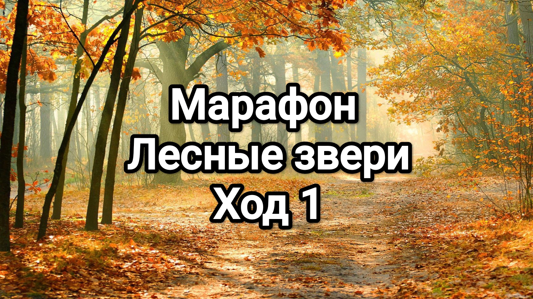 Марафон Лесные звери, ход 1 смотреть онлайн