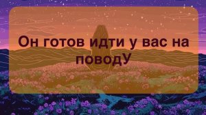 Мысли мужчины о вас прямо сейчас ‼️🤯💯 Его действия 🎭