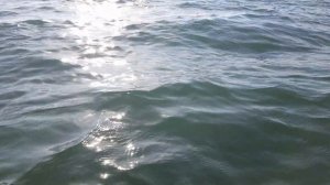 31 августа в Джемете