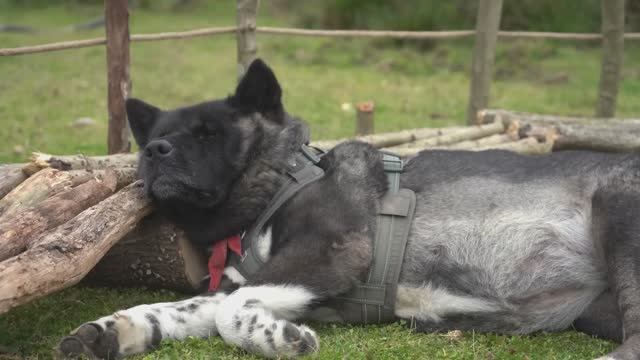 ХАКАН    На острове. . Catch and Cook, Fishing.
