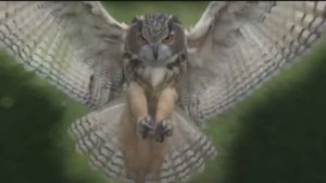 По-русски Моголо-ТархТары