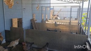 01-09-2025. Ломаем ВСЁ!😀