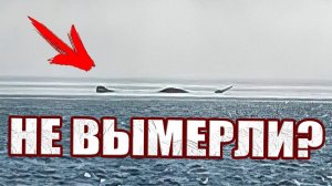 Туристы засняли вымершего змееподобного монстра в обычной пресноводной реке?