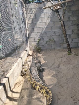 отвечаю на вопросы пишите вопросы норм