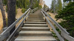 13957665_3840_2160_24fps