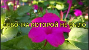 Девочка, которой не было