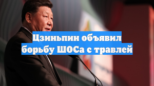 Цзиньпин объявил борьбу ШОСа с травлей