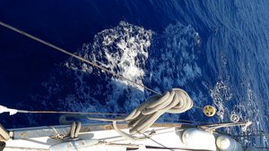 Незабываемые приключения с JOOTTY — ДЕНЬ ПЯТЫЙ