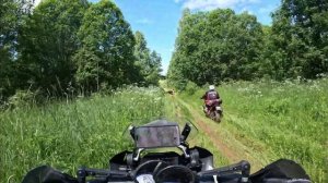 Project 18 ADV Fest 2024, happy tree