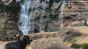 13890443_3840_2160_32fps