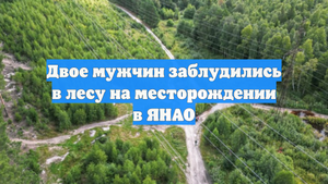Двое мужчин заблудились в лесу на месторождении в ЯНАО