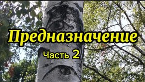Предназначение. Часть 2