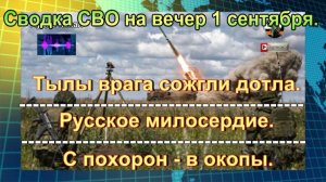 Сводка СВО на вечер 1 сентября. Юг ДНР зачистили от боевиков ВСУ