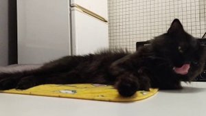 Наводит марафет