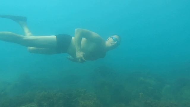 Морские каникулы в Дагомысе август 2025