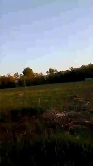 Скопинские будни 3