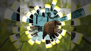 Широкая дорога.mp4