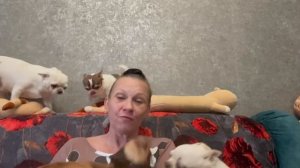 Уточнили у специалиста почему хвостики последнее время плохо кушают.