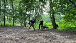 ВЕО Валентлайф Шерритэ Шанз Элизэ, ЗКС, 2-е занятие, КССС Сокольники - №2