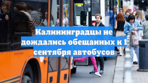 Калининградцы не дождались обещанных к 1 сентября автобусов