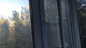 Влог🧹Домашний день😌Делаю уборку в квартире🏠Навожу чистоту 🪣🫧.mp4 