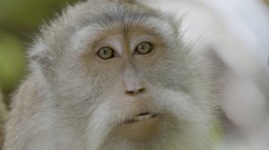 14235486_3840_2160_50fps