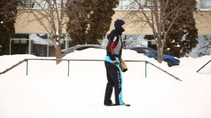 Сухой корм для собак добермана