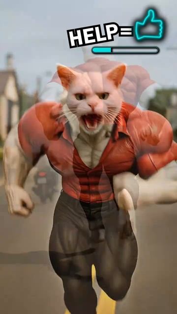 Похитили котёнка🐱😱 смотреть онлайн