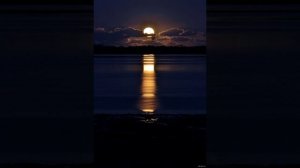 Ещё не поздно