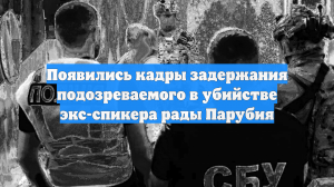 Появились кадры задержания подозреваемого в убийстве экс-спикера рады Парубия