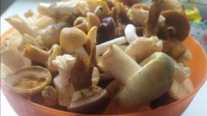 ИНТЕРЕСНЫЙ ДЕНЬ 31.08.2025.