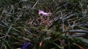 Шляйх клип  ,, Не хочу быть убицей! "