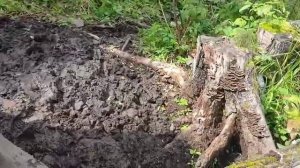 проверка солонцов и избушек перед сезоном