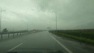 Весь день идет дождь 01.09.2025г.