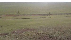 Трактора🚜 Т-16. Т-40. МТЗ-892, сенокос 1 сентября 2025 год Иркутская область Усть- Удинский район