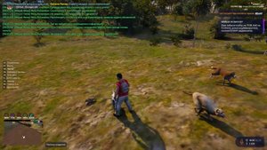 ДМ охота 2 Сентября