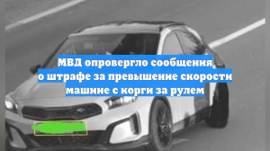 МВД опровергло сообщения о штрафе за превышение скорости машине с корги за рулем