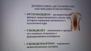 Рыма чек --призрачная
больница Арбуз сладкий