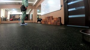 Чивас кирпич