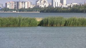 В водоёмах Воронежской области утонуло 59 человек