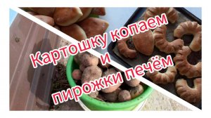 Картошку копаем и пирожки печём