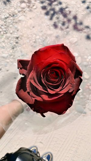 приветик 🎀💕